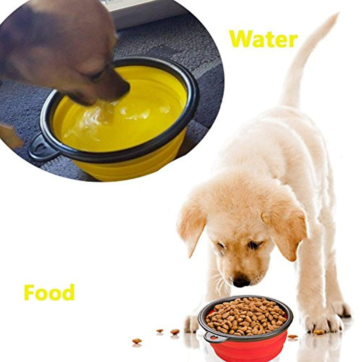 Dog Bowl - Collapsible Great for Travel & Outdoors – Snazzy Fido