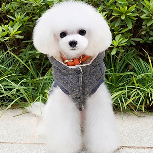 Stylish Hooded Dog Coat Elli Bear