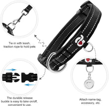 reflective-dog-collar by Ellibear