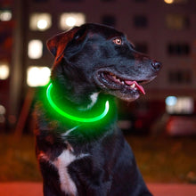 led-dog-collar by Ellibear