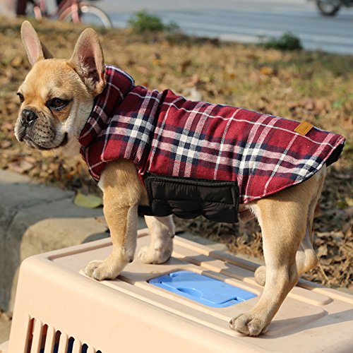 Cozy Waterproof Windproof Dog Vest